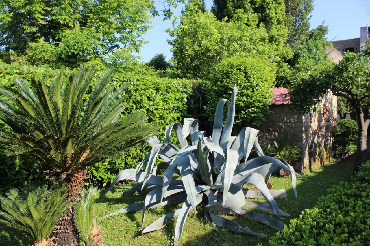 Il Giardino Degli Agrumi 카세르타 외부 사진