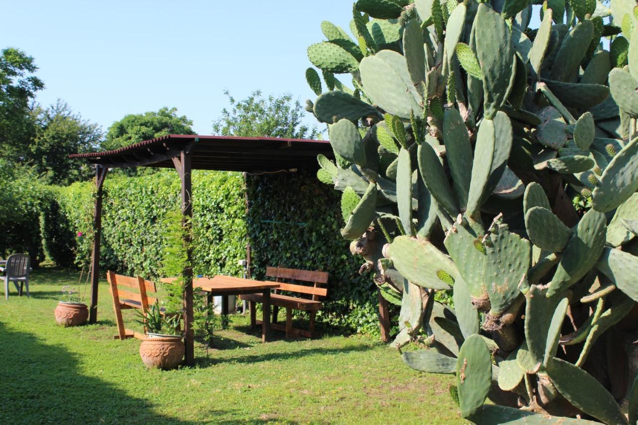 Il Giardino Degli Agrumi 카세르타 외부 사진