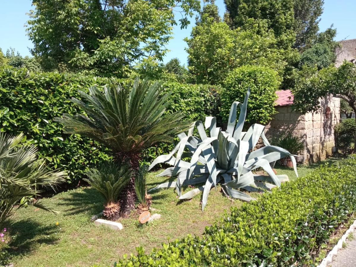 Il Giardino Degli Agrumi 카세르타 외부 사진