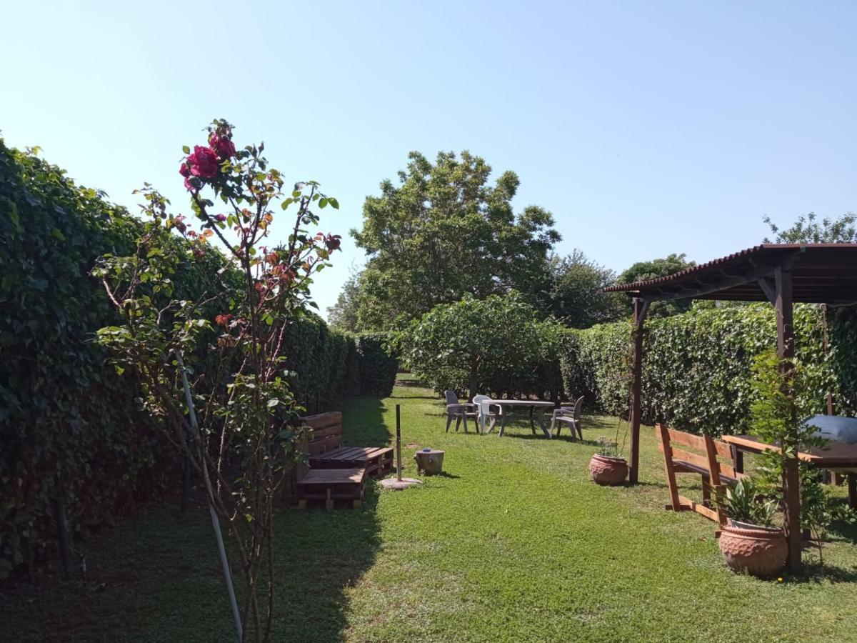 Il Giardino Degli Agrumi 카세르타 외부 사진