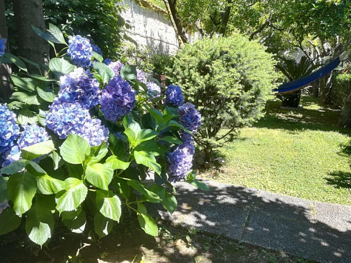 Il Giardino Degli Agrumi 카세르타 외부 사진