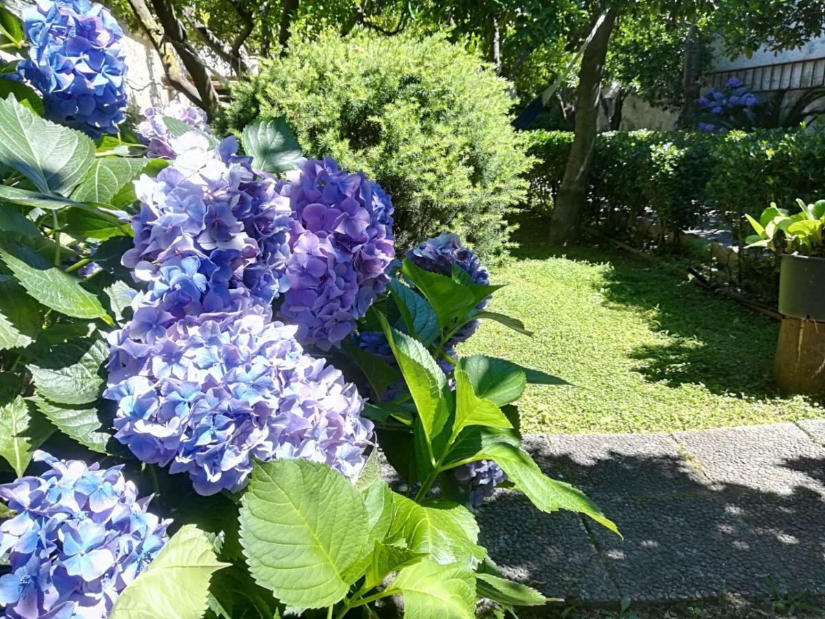 Il Giardino Degli Agrumi 카세르타 외부 사진